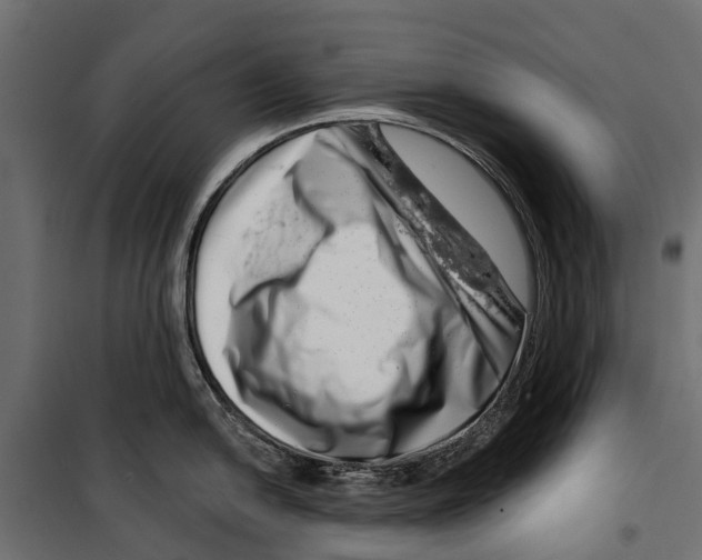 X0000099971054200806201357