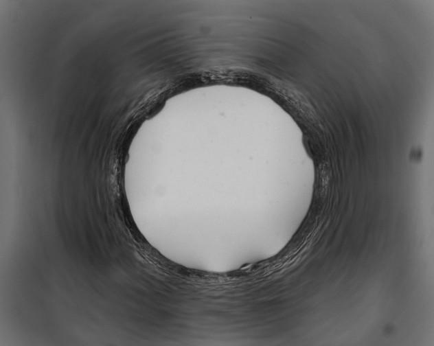 X0000099971060200806201356