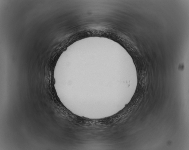 X0000099971061200806201356