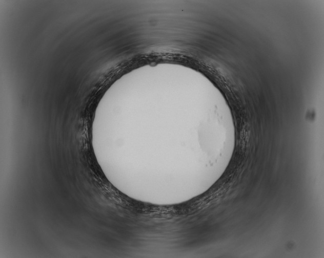 X0000099971062200806201356