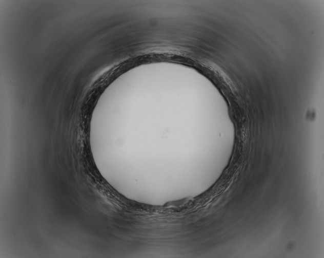 X0000099971064200806201356