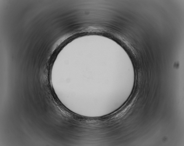 X0000099971066200806201356