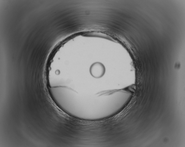 X0000099971072200806201356