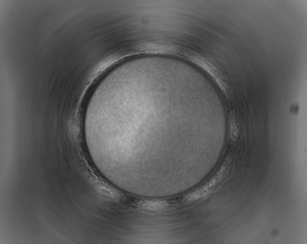 X0000099971074200806201356