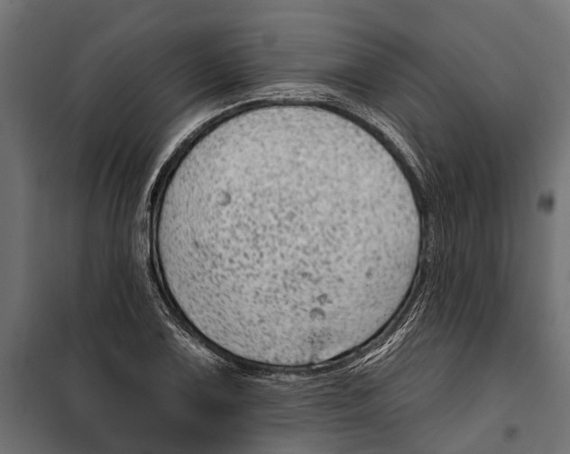 X0000099971075200806201356