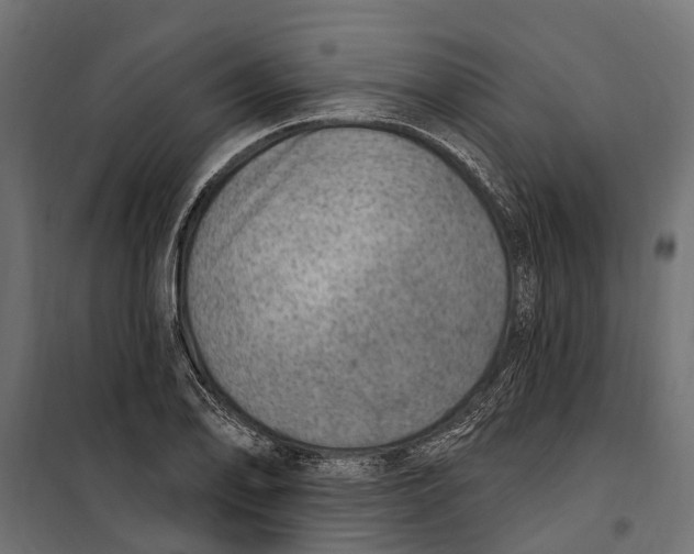 X0000099971078200806201356