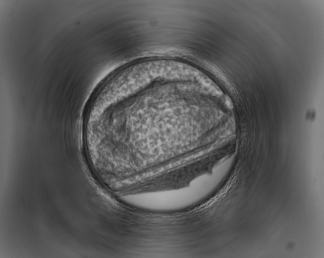 X0000099971079200806201356