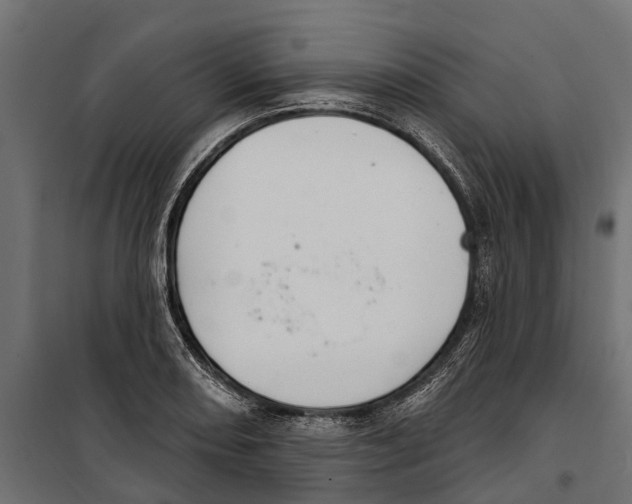 X0000099971082200806201356