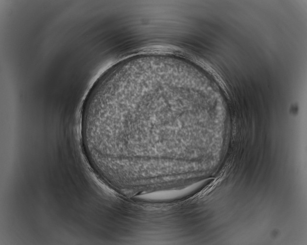 X0000099971083200806201356