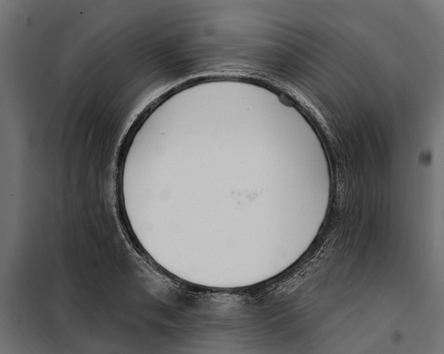 X0000099971085200806201356