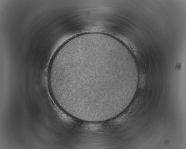 X0000099971086200806201356