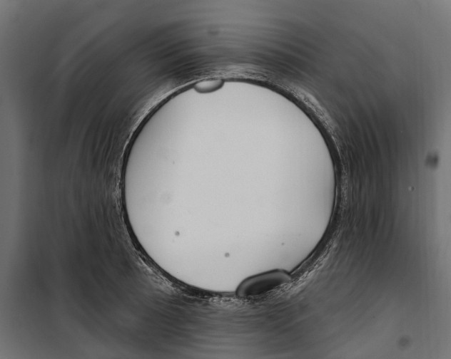 X0000099971089200806201356