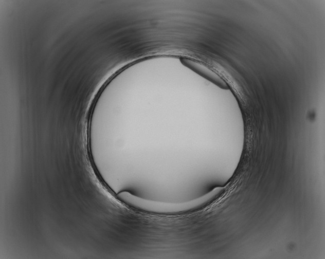 X0000099971092200806201356