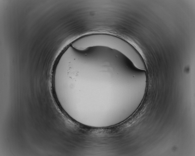 X0000099971093200806201356