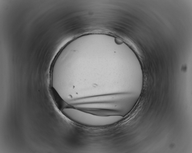 X0000099971095200806201355