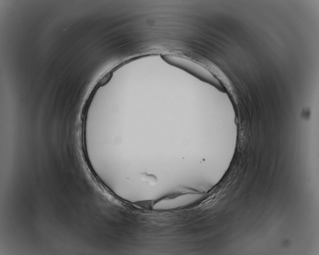 X0000099971096200806201355