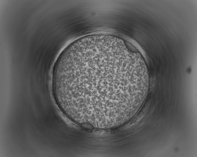 X0000099971099200806201355