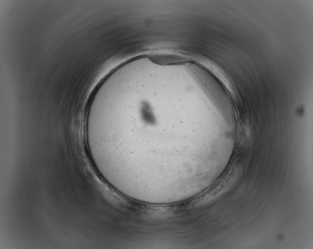 X0000099971101200806201355