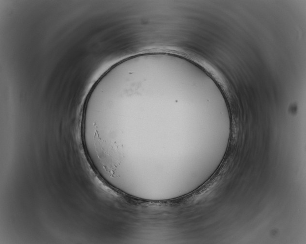 X0000099971102200806201355