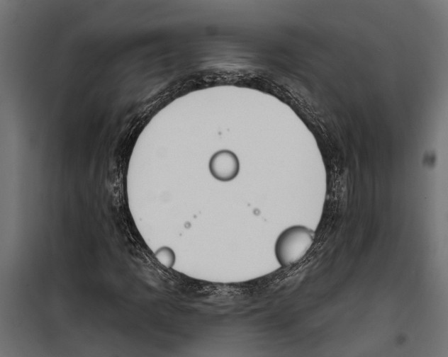 X0000099971109200806201355