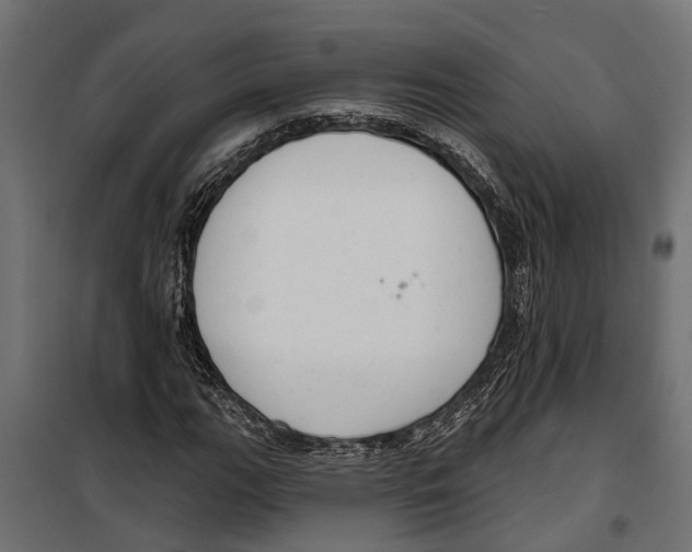 X0000099971111200806201355