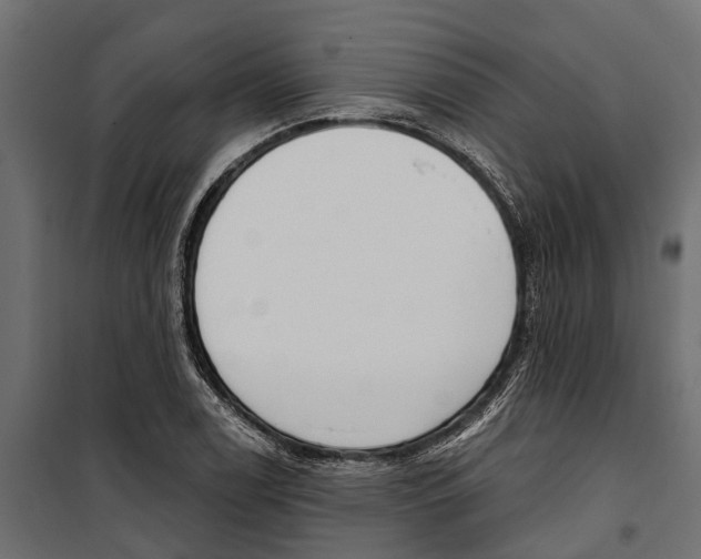 X0000099971122200806201355