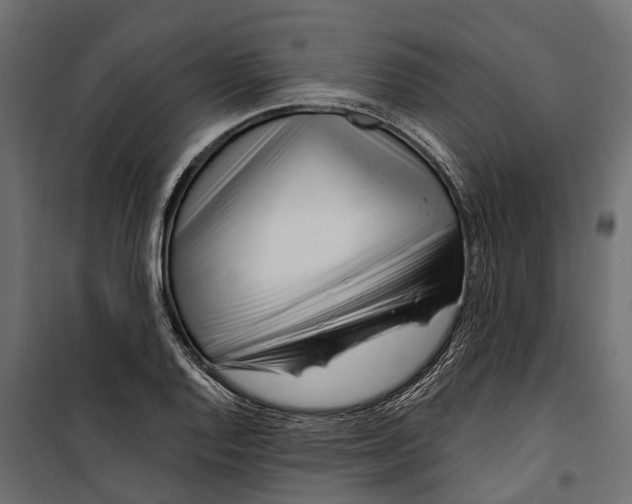 X0000099971128200806201355