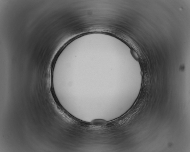 X0000099971132200806201355