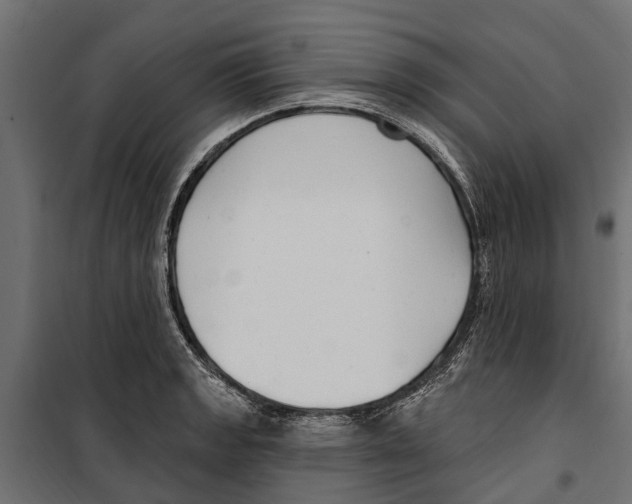 X0000099971133200806201355