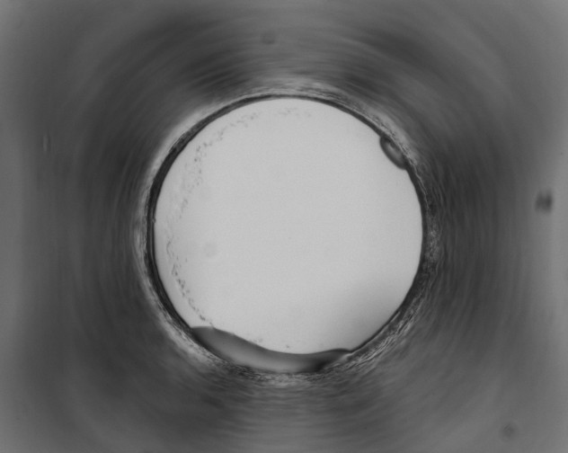 X0000099971136200806201355