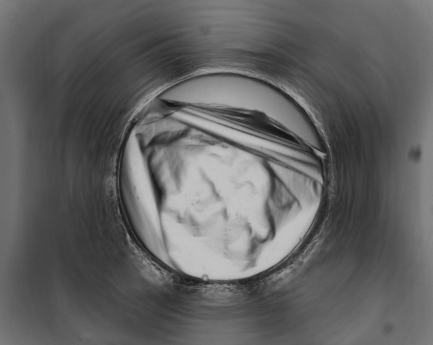 X0000099971137200806201355