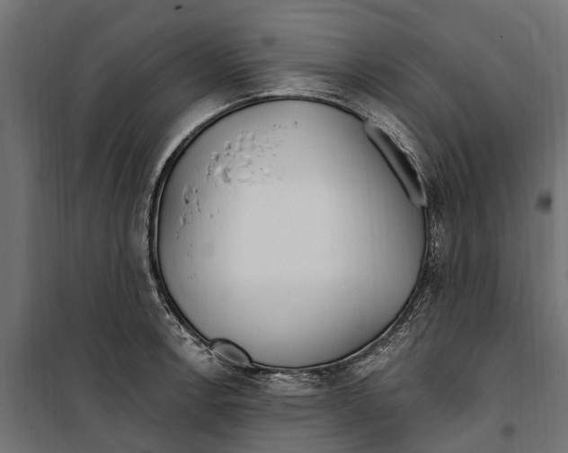 X0000099971138200806201355