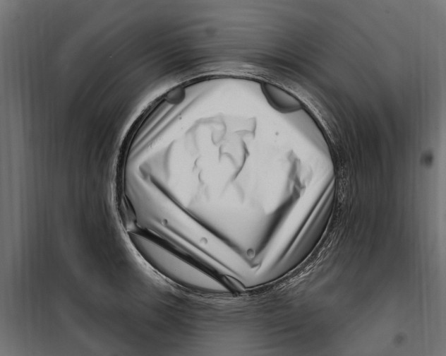 X0000099971139200806201355