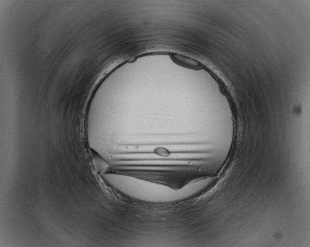 X0000099971145200806201355