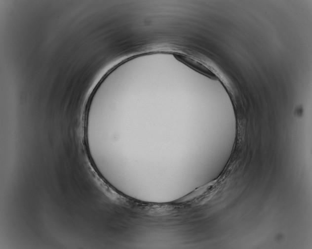 X0000099971148200806201355