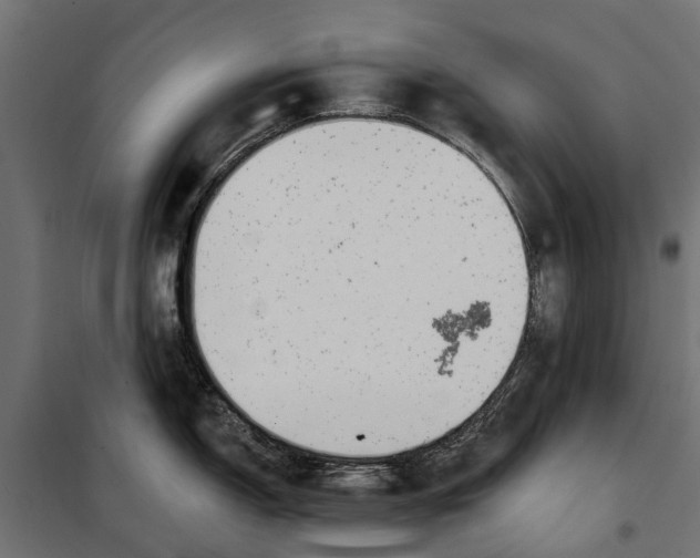 X0000099971150200806201355