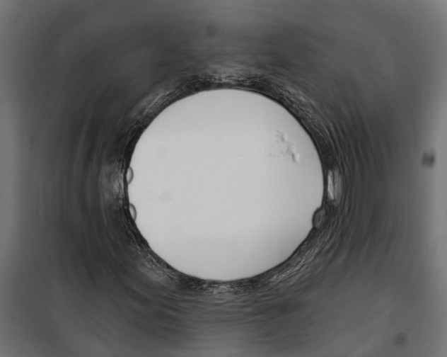 X0000099971155200806201355