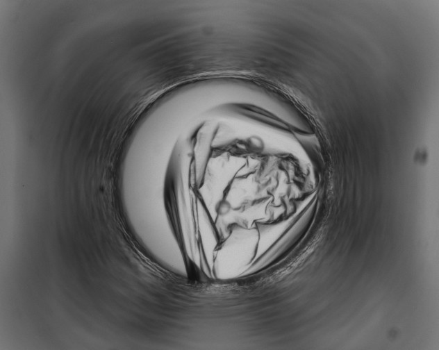 X0000099971161200806201355