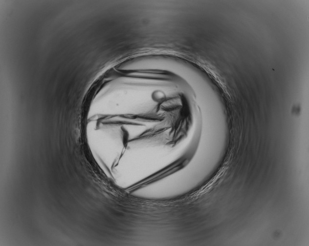 X0000099971165200806201354