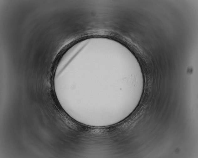 X0000099971166200806201354