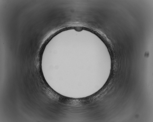 X0000099971167200806201354