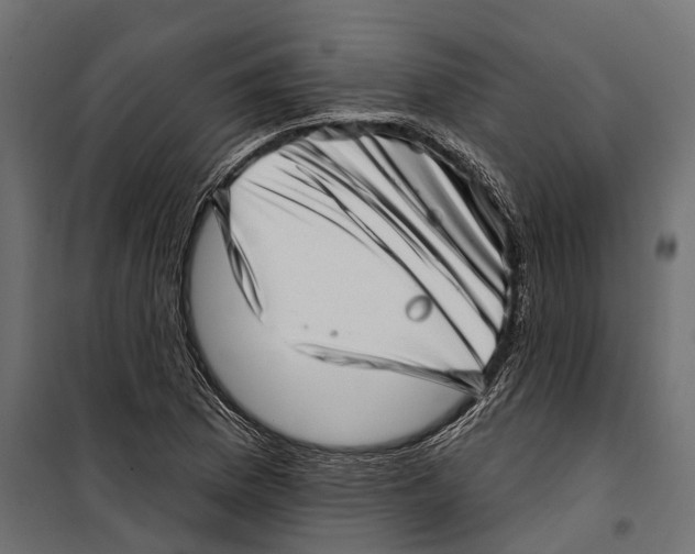 X0000099971169200806201354