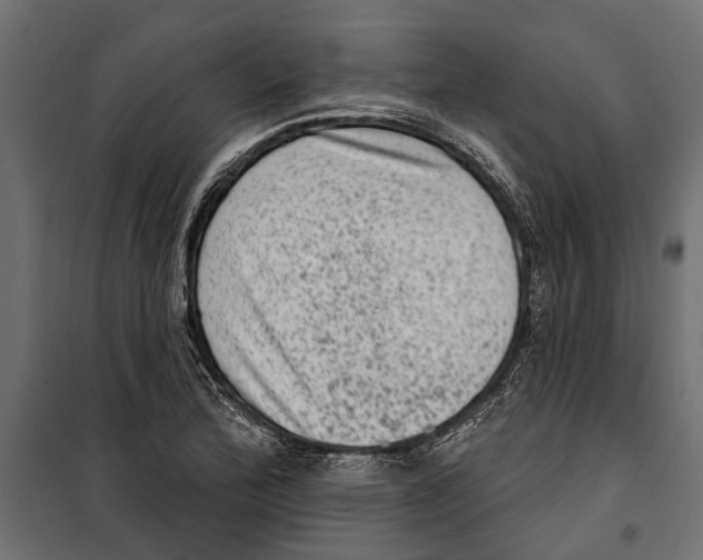 X0000099971172200806201354