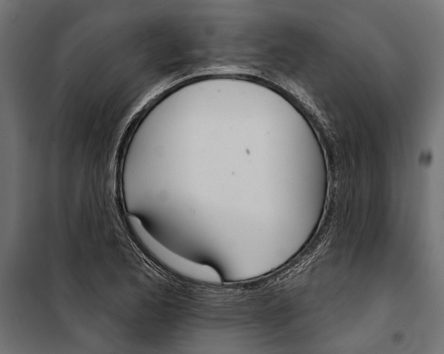 X0000099971173200806201354