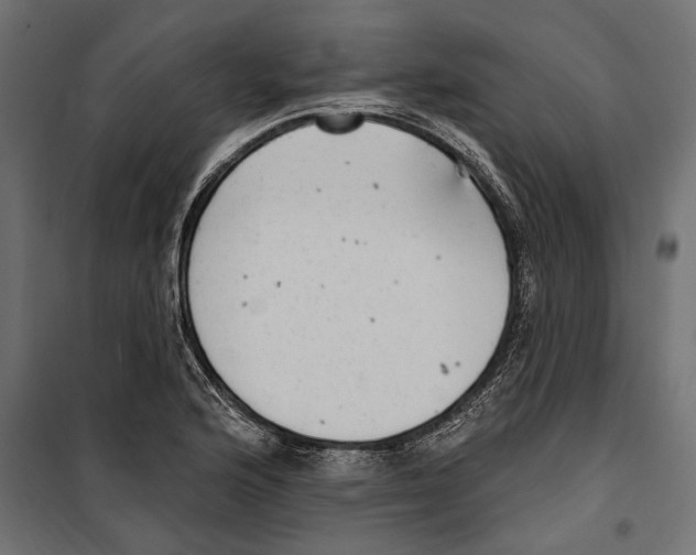 X0000099971176200806201354