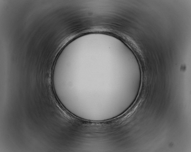 X0000099971177200806201354