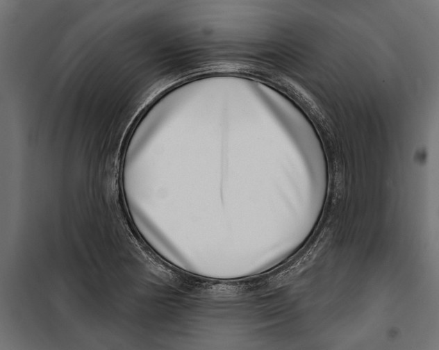 X0000099971178200806201354