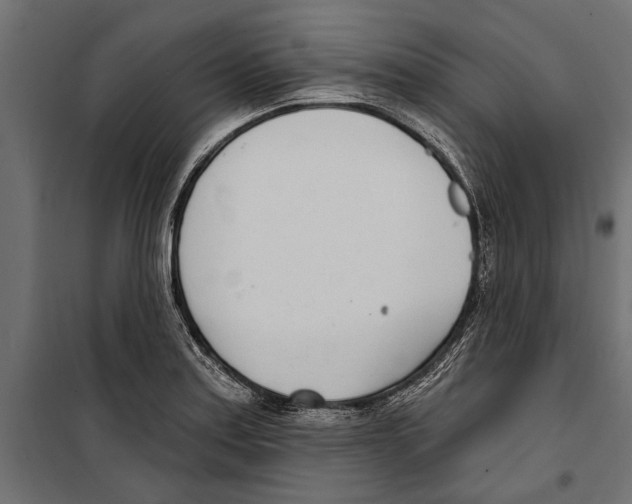 X0000099971179200806201354