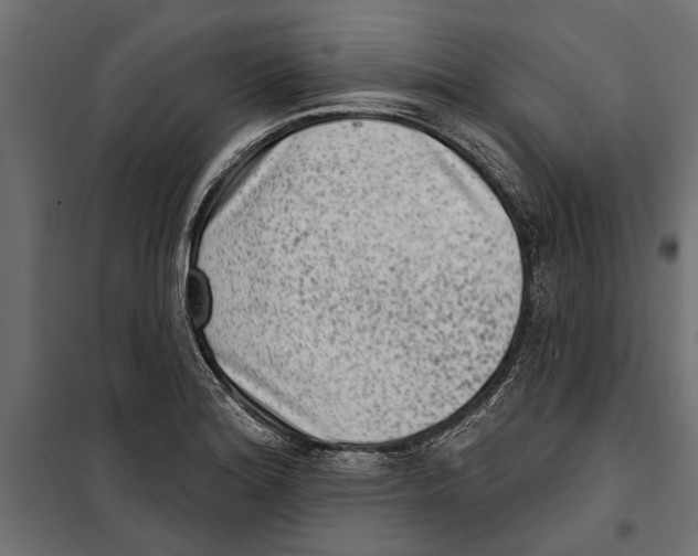 X0000099971180200806201354