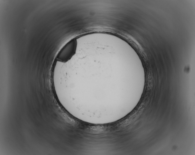 X0000099971182200806201354